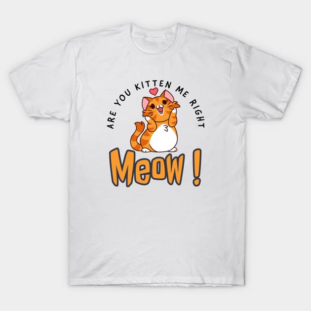 Are you kitten me right meow T-Shirt by kirkomed